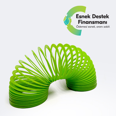 Esnek Destek Finansmanı
